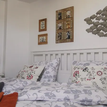 Ferienhaus Seekieker Ostseeheilbad Zingst